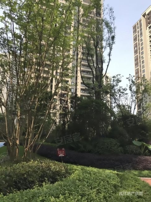 保利观澜三期