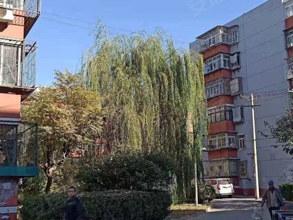 北京小区人口_亚洲 最大 的小区,耗资1000亿修建,住户超40万却不在北上广(2)