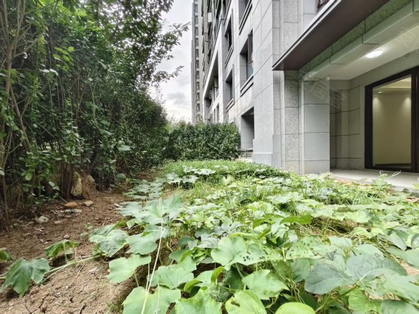 底复4层带院子中央空调住直播办公1梯1户近骆岗公园包河大道