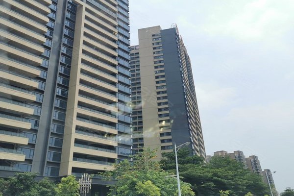 微信查你小区外来人口_外来老徐娘微信截图(3)