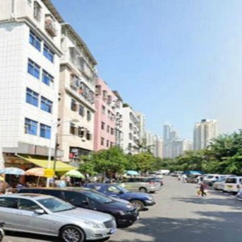 【河西金雅园 河西金雅园小区详情,房价走势,房源,业主论坛 深圳
