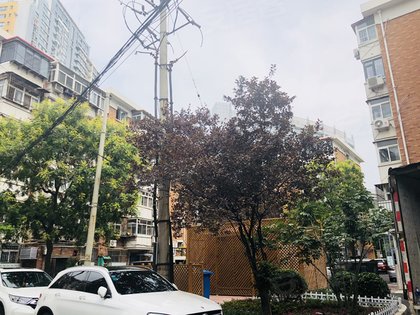 天津小区排名_天津津塘路小区户型图(3)