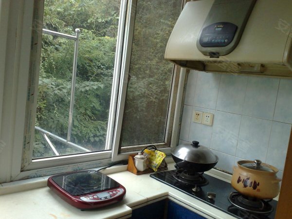 600x600.jpg