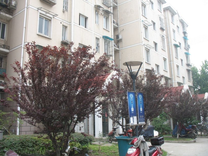 南京 <em>育才</em>公寓小区<em>照片</em> - 安居客