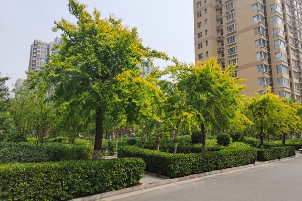 北郡(c区)优点、不足，北郡(c区)怎么样，北郡(c区)周边房产中介经纪人评价-石家庄安居客