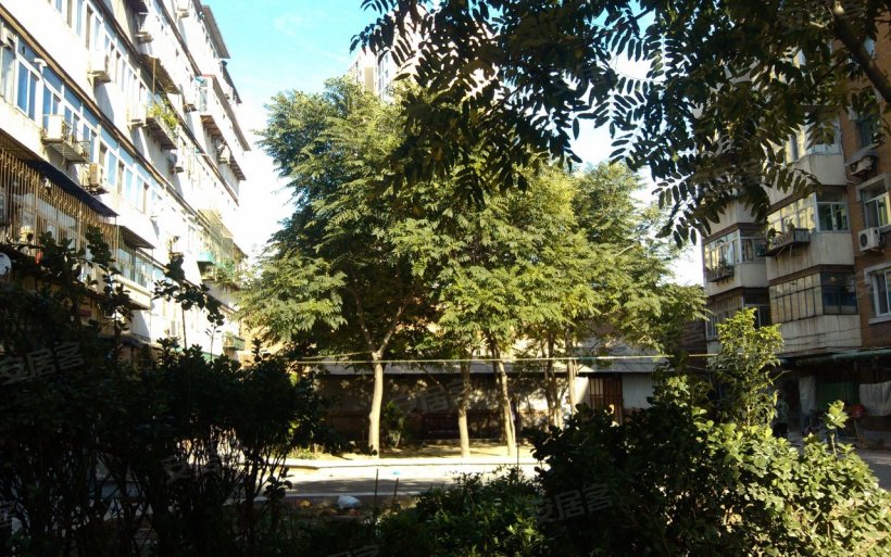 西青区 >> 住房   标签: 房地产住宅区 福姜里共多少人浏览:1064338