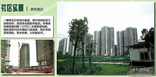 1ca9e4cfbd6134dd90cddccc89462bc3-600x600.jpg