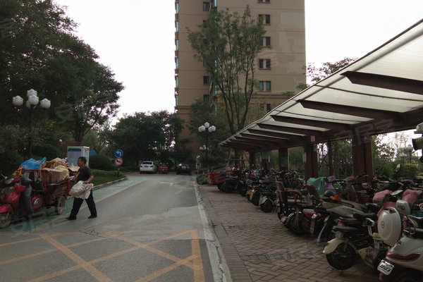武陵区人口多的老小区有哪些_小区门口照片(3)