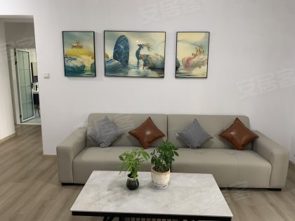 紫竹苑(包河)_2室1厅1卫_南北通透_精装修