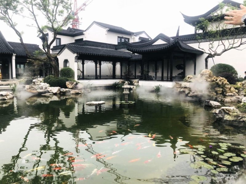 桃花源苏州园林风格四合院!一步一景宅院合一独立私密