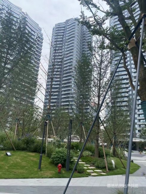 成都名片 麓湖汀院 观景房 大套三双卫 视野开阔,麓湖生态城汀院二手