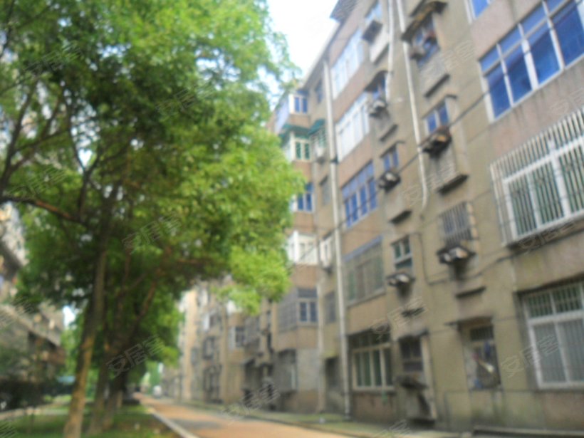 南昌 省卫校宿舍小区照片