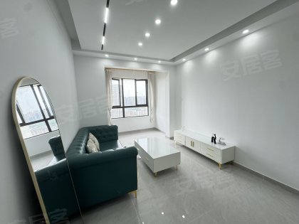 实图实价葛大店地铁口_包河万象汇_奥园龙川玖著_自住装修