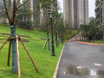 照母山房产直播 420x315c.jpg?t=1