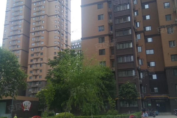 天鹅县长安家园有多少人口_天鹅卡通图片
