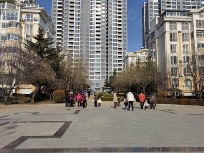 青岛黄岛人口碑_青岛黄岛图片