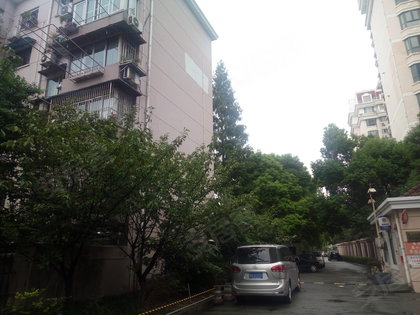真光新村人口_恶狼游戏新村洸图片