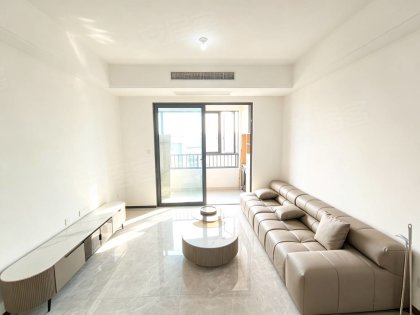 伟星玖峯汇_全屋定制衣柜_地铁口__近新华公学_3室2厅2卫