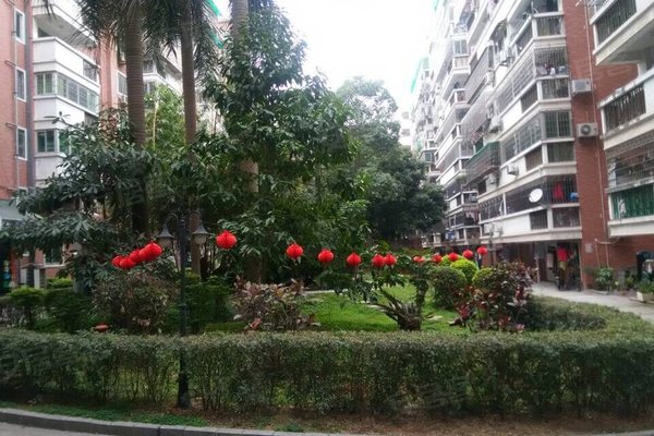 禹州市有多少人口_禹州市高级中学(2)