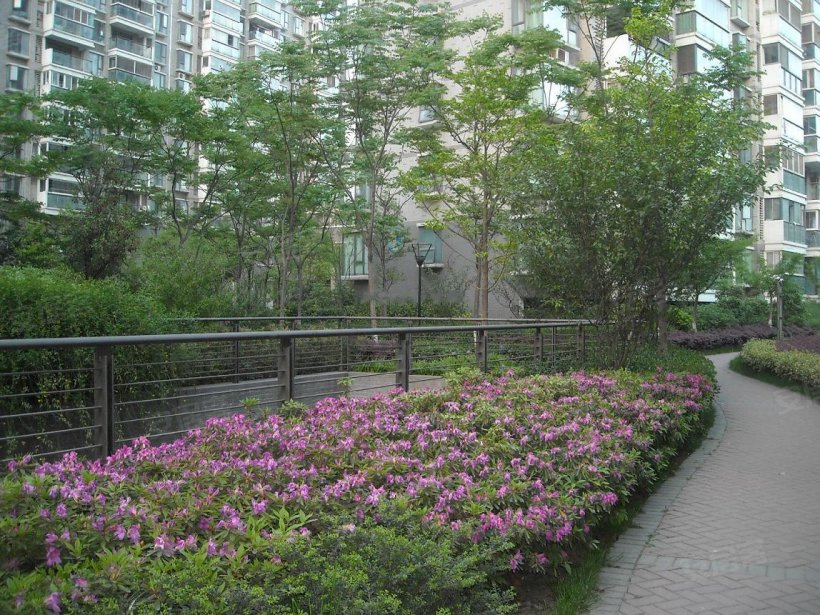 南京 香格里拉东苑小区照片