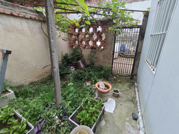 一楼带院子，史河路，中医药宿舍，两房，有钥匙，曙光医院，西苑