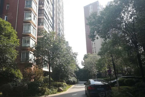 阳光城最新消息评论 600x400c.jpg?t=1