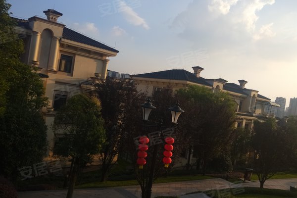 600x400c.jpg?t=1