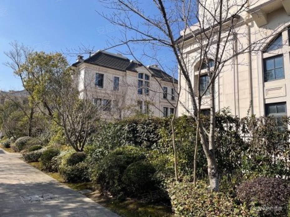 尚湖玫瑰园独栋别墅毛坯带私人电梯前后大院子上下四层