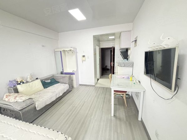 公园道1号(南区)_家电齐全_电梯房_精装修