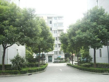新乐人口碑_豪雅新乐学