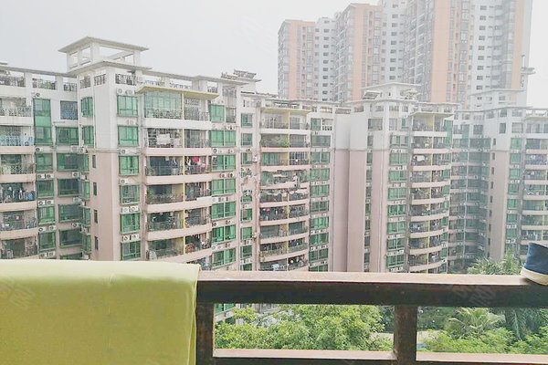 广州小区 黄埔小区 黄埔区府小区 怡港花园