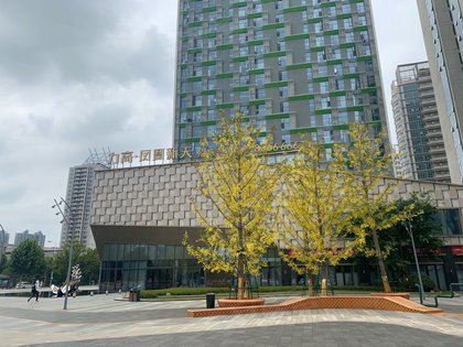 力高凤凰新天