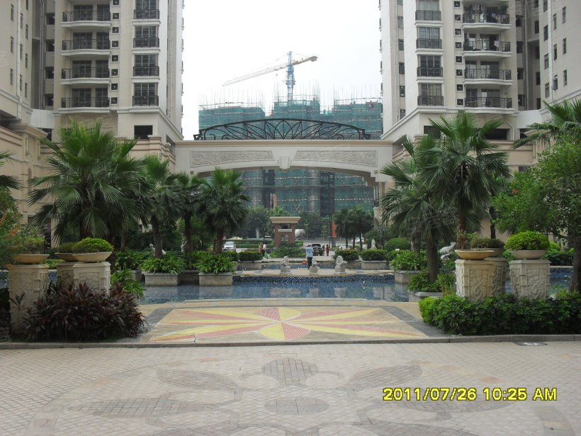 广州 粮食局宿舍小区照片