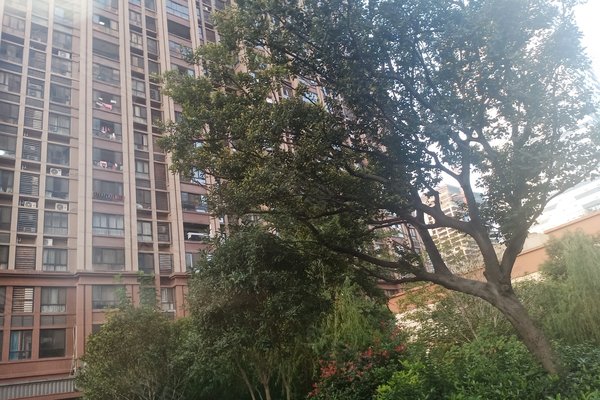 怎么样,好不好_温兴权解读:一公里左右就是佛堂-义乌安居客