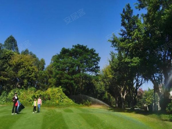 深圳龙华观澜观澜高尔夫露诗达区深圳观澜豪装会所带大泳池,各种娱乐