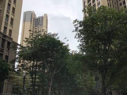 猎德人口碑_范伟我这个人口碑