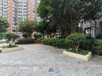星典时代