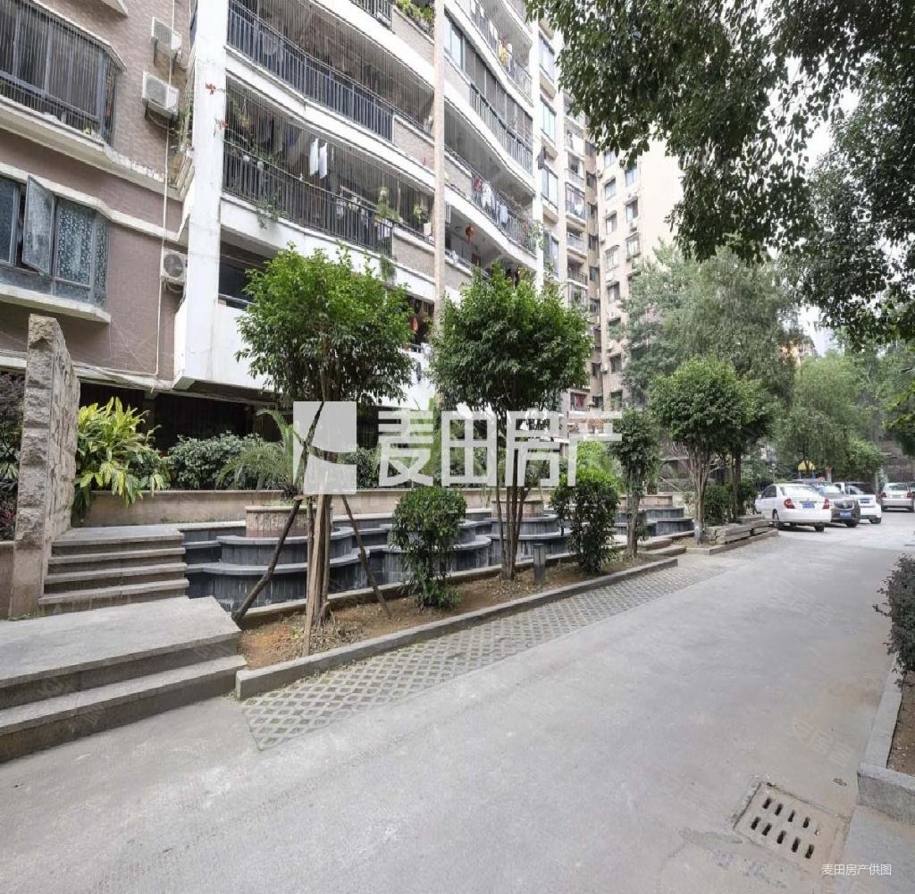 东端头花园社区电梯高层香樟林城市花园全明户型接送房