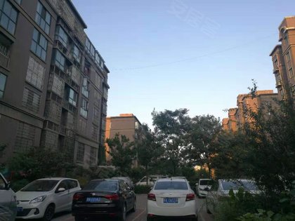 新郑外来人口_新郑机场图片(3)