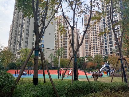 保利新武昌