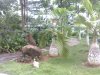 昌茂花园租房2100元/月