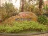 云星尚雅名都二手房46万元