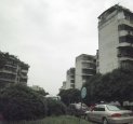 安新北区4828元/平米