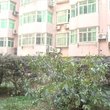 武汉找房经验分享 图片 8