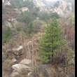 大家来贴图<img src='http://pages.anjukestatic.com/img/group/pri_img_group.png' style='padding: 0pt 4px 3px 3px; width: 16px; height: 16px; border: medium none;' title=''> 图片 37497