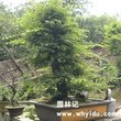 武汉找房经验分享 图片 10