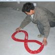 房贷讨论 图片 13