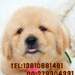 宠物超市 图片 253