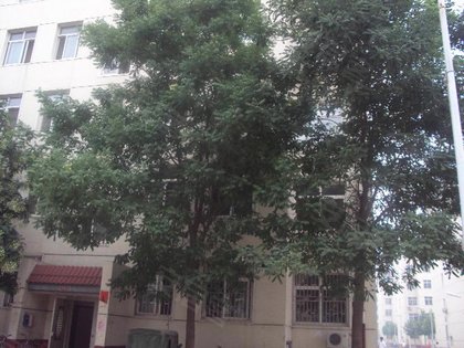 小马新村人口_小马新村图片(2)
