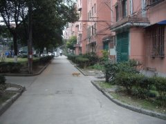 240x180.jpg?t=1